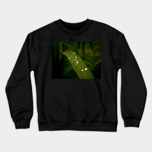 Water Drops - green macro Crewneck Sweatshirt